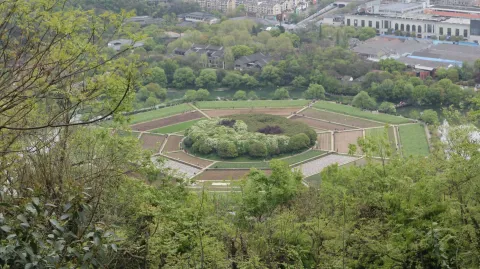 八卦田1