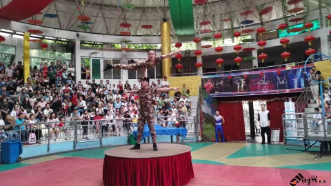 杭州动物园杂技表演