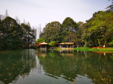 太子湾踏春9