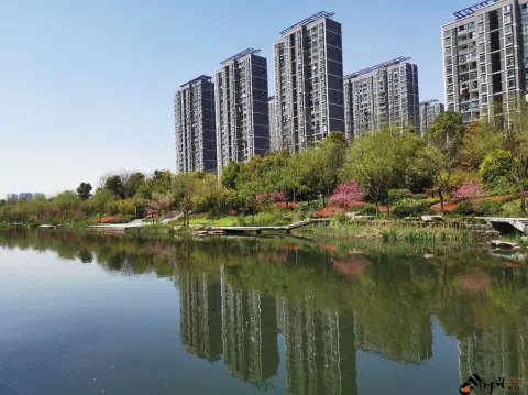 不一样的小河景致