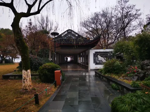 柳浪闻莺12
