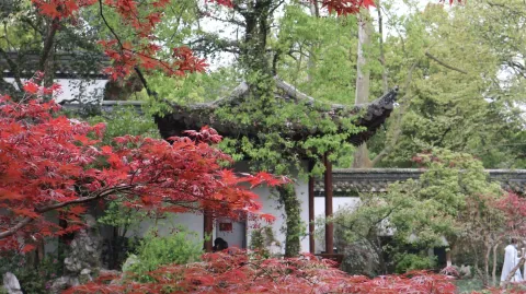 郭庄10