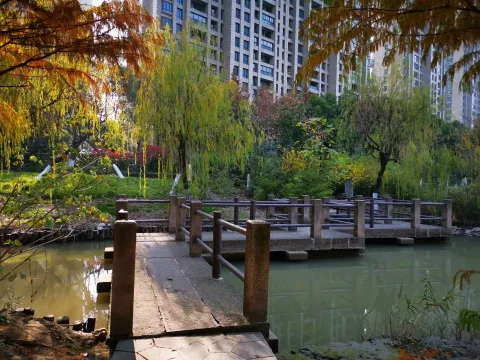 萧山北塘公园秋季的风景