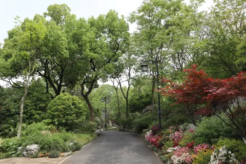 中国茶叶博物馆龙井馆区