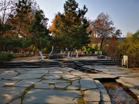 萧山北塘公园秋季的风景