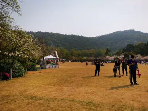 太子湾踏春54