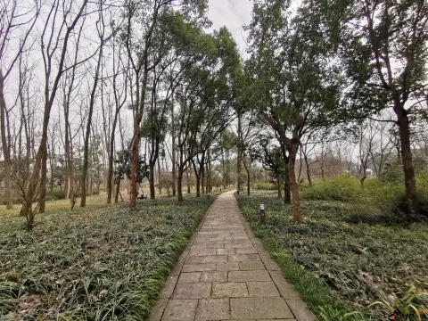 西溪国家湿地公园