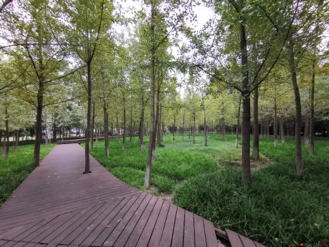 钱江南岸步行道