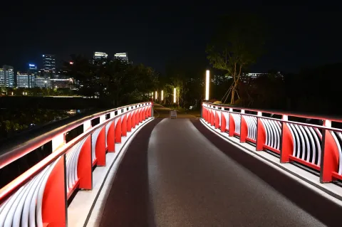 舟山群岛文化公园夜景4