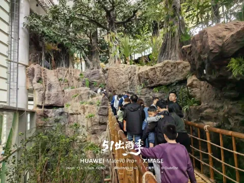 科技馆内的雨林秘境4