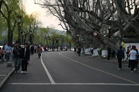 孤山4