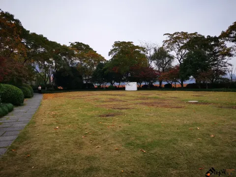西湖，孤山上的大草坪