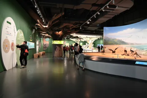 盐城，黄海湿地博物馆7