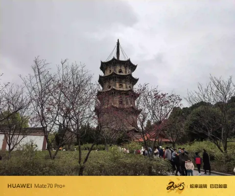 泉州开元寺8