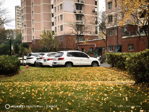 小区里的秋章6