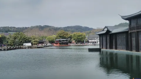 曲院风荷