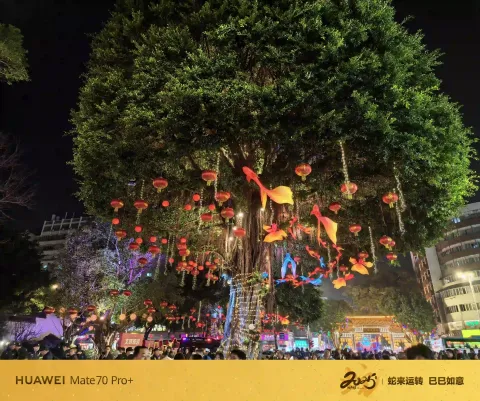 夜幕下的福州三坊七巷16