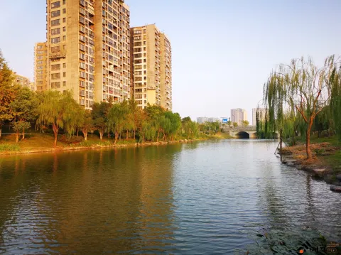 河道景色