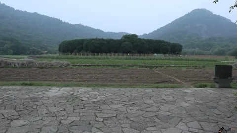 玉皇山下八卦田的景色