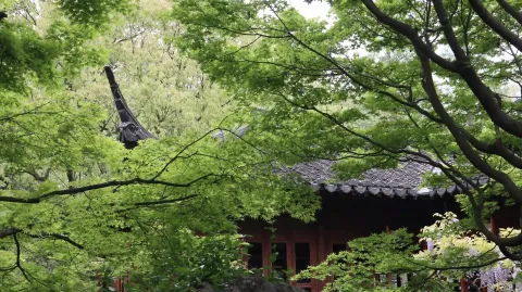 郭庄9