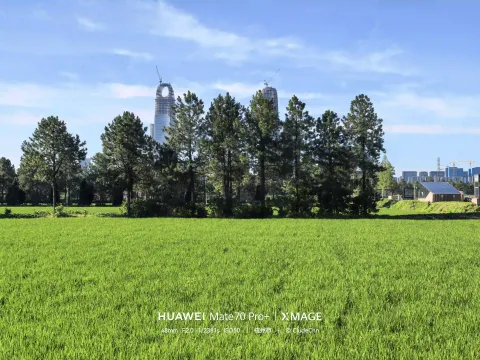 城与田3