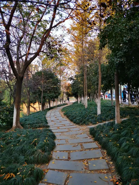 湘湖东岸的人行走道