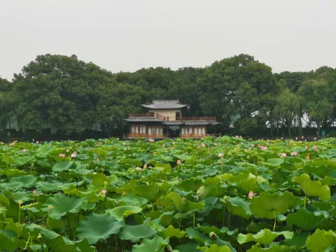 岳湖5
