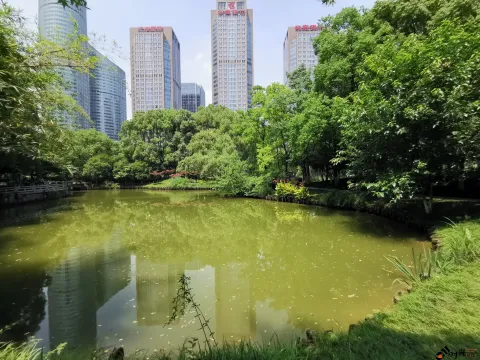 钱江新城森林公园