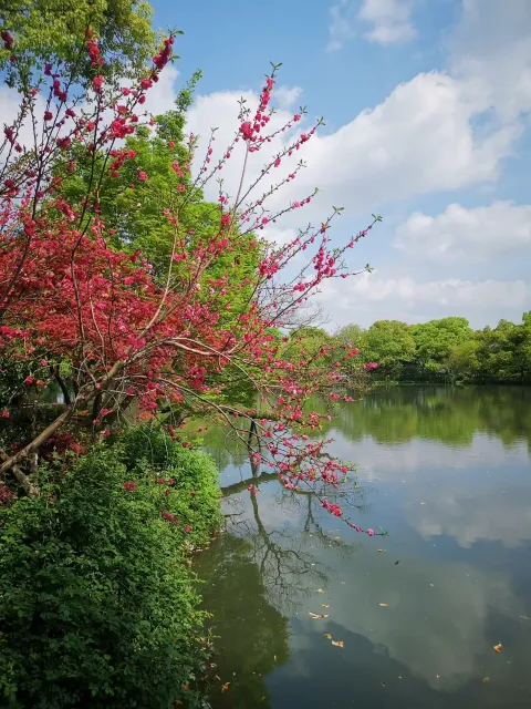 小瀛洲31