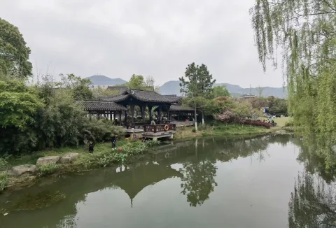 千桃园3