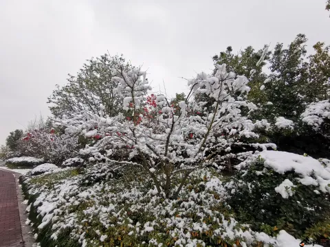 2018年的尾巴尽然下了一场不小的雪
