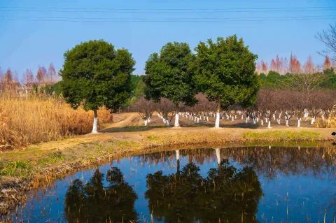 长田漾湿地公园9