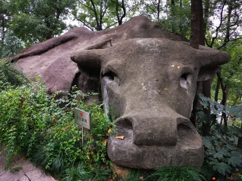 中国茶叶博物馆（龙井馆区）