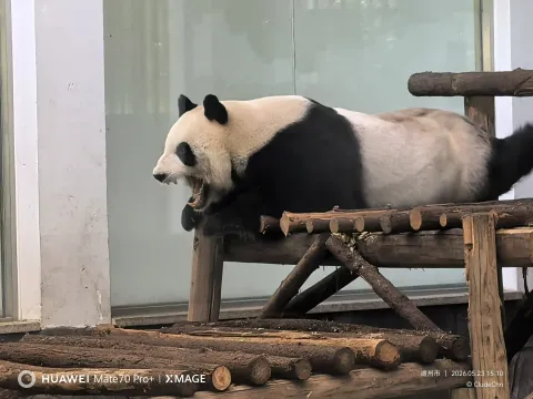 安吉中国竹子博览园13