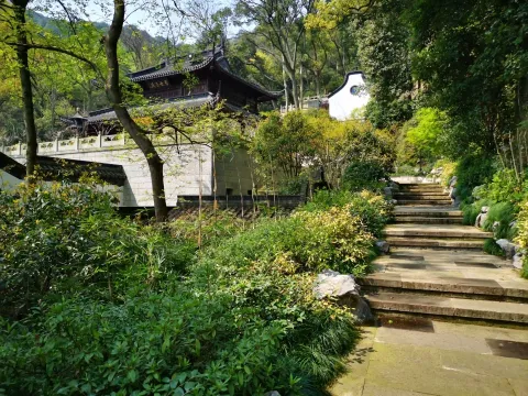 虎跑泉