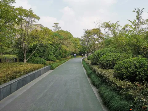 钱江CBD公园