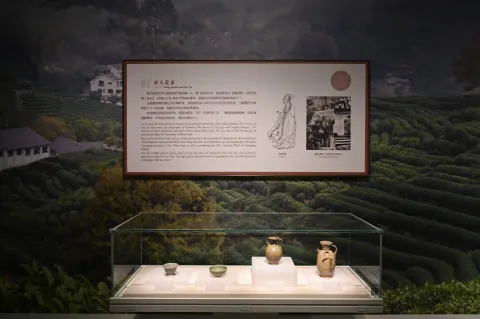 杭州中国茶叶博物馆-龙井茶8