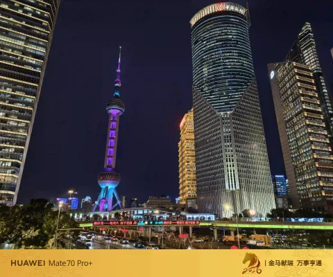 陆家嘴的夜景8