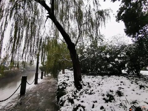 西湖边的雪景