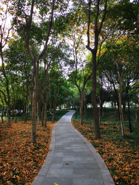 路在脚下