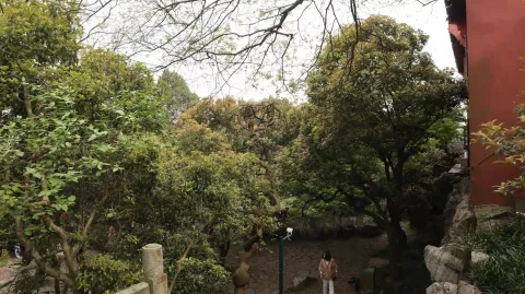 福星观2