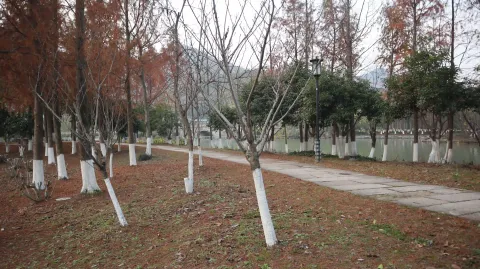 湘湖边的景色