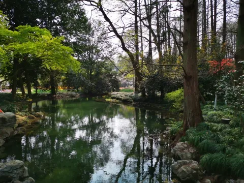 太子湾踏春56