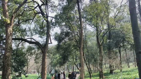 太子湾公园
