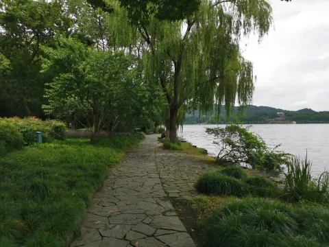 苏堤10