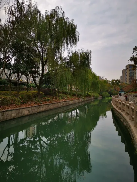 小河道景色