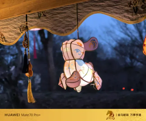 夜色中坐摇橹船赏灯6