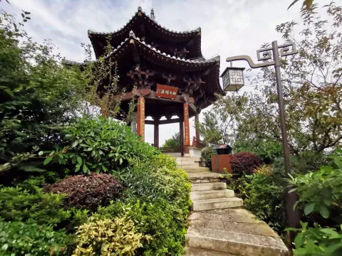 半山国家森林公园13