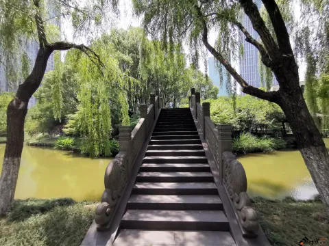 钱江新城森林公园