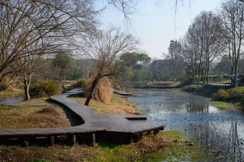 西溪湿地 周家村6